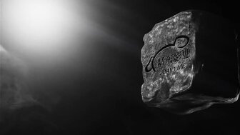 我和我的綠茶女友